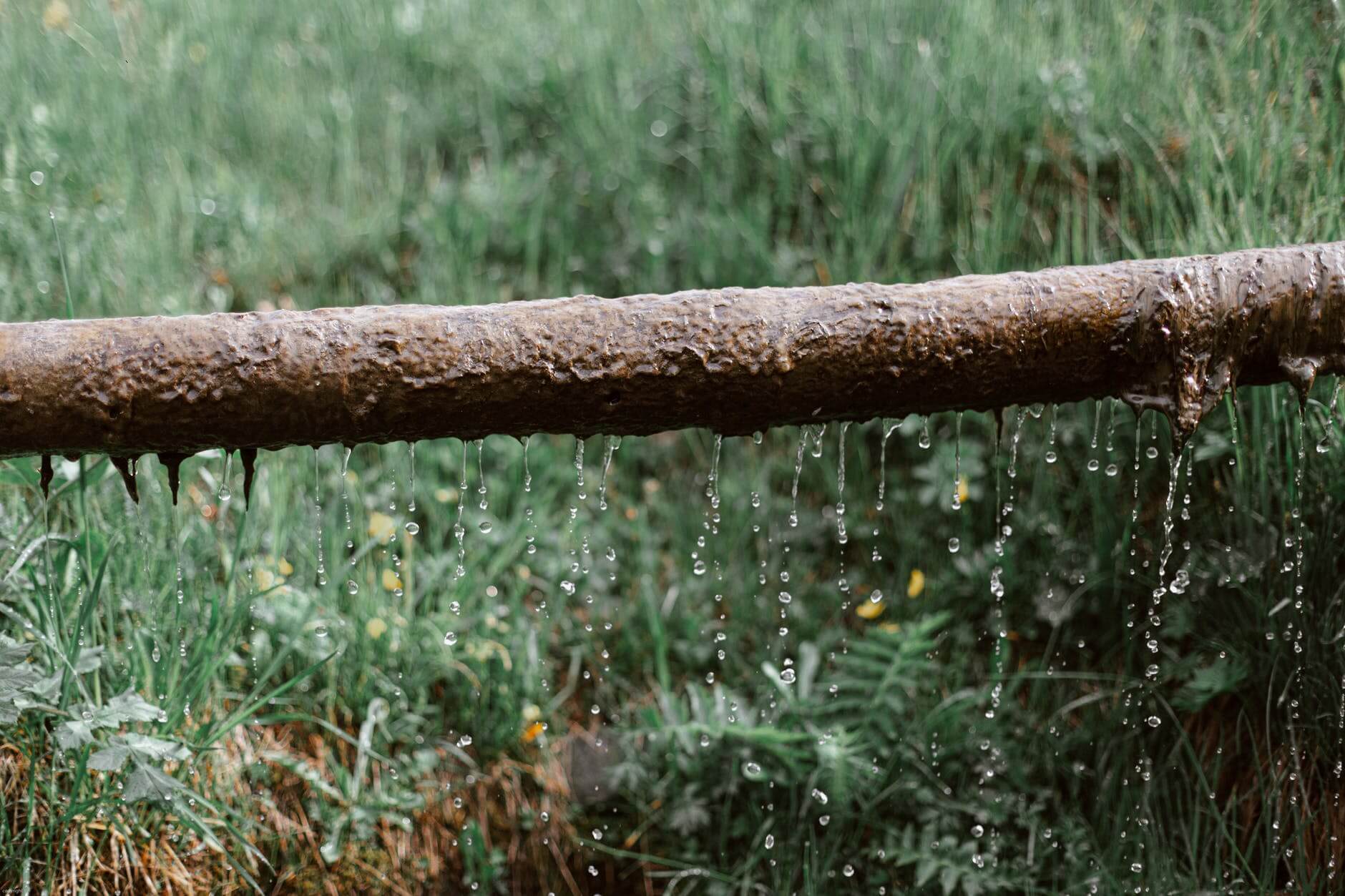 Why Regular Septic Tank Pumping is Crucial for Your Home